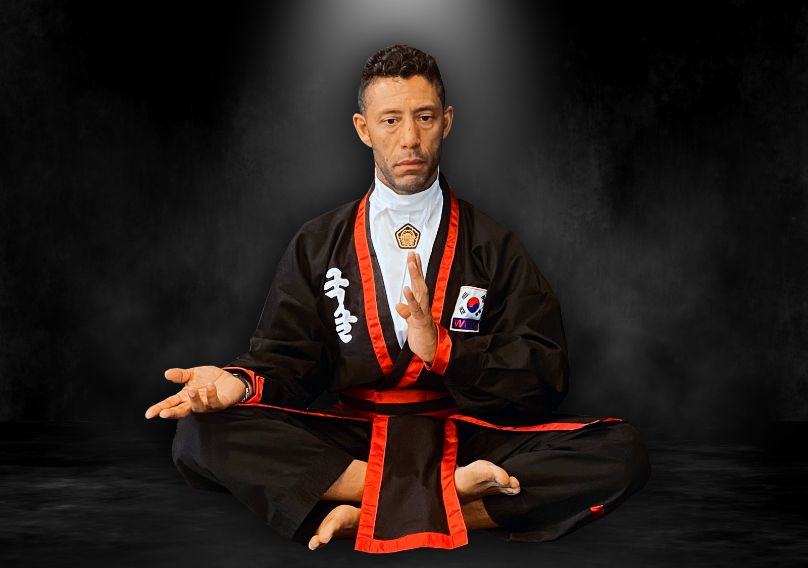 MARTIAL ART HEALING METHODS